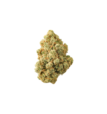 Jurassic Kush CBD+ 🦖