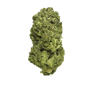 Yoda Kush- CBD+ 🐸