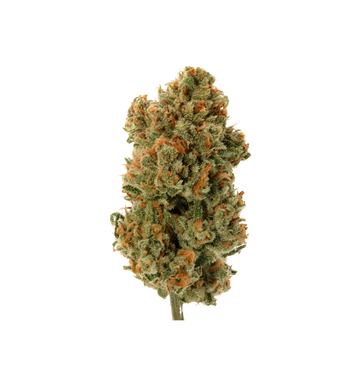 Dark Knight OG - Fleur 10 OH HHC