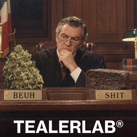Tribunal rétro comparant beuh et shit comme pièces à conviction - beuh vs shit