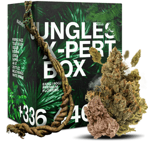 BOX DECOUVERTE 30G CBD 🌿 — vue alternative