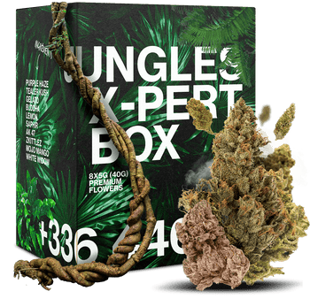 BOX DECOUVERTE 30G CBD 🌿