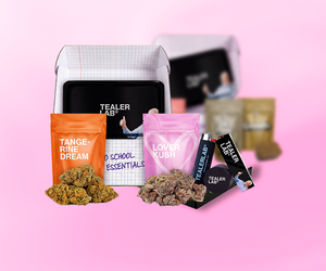 Les box — Des packs toujours plus aventageux