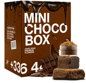 MINI CHOCO 20G BOX CBD 🍩 — vue alternative