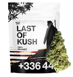 Last of Kush CBD+ — vue alternative