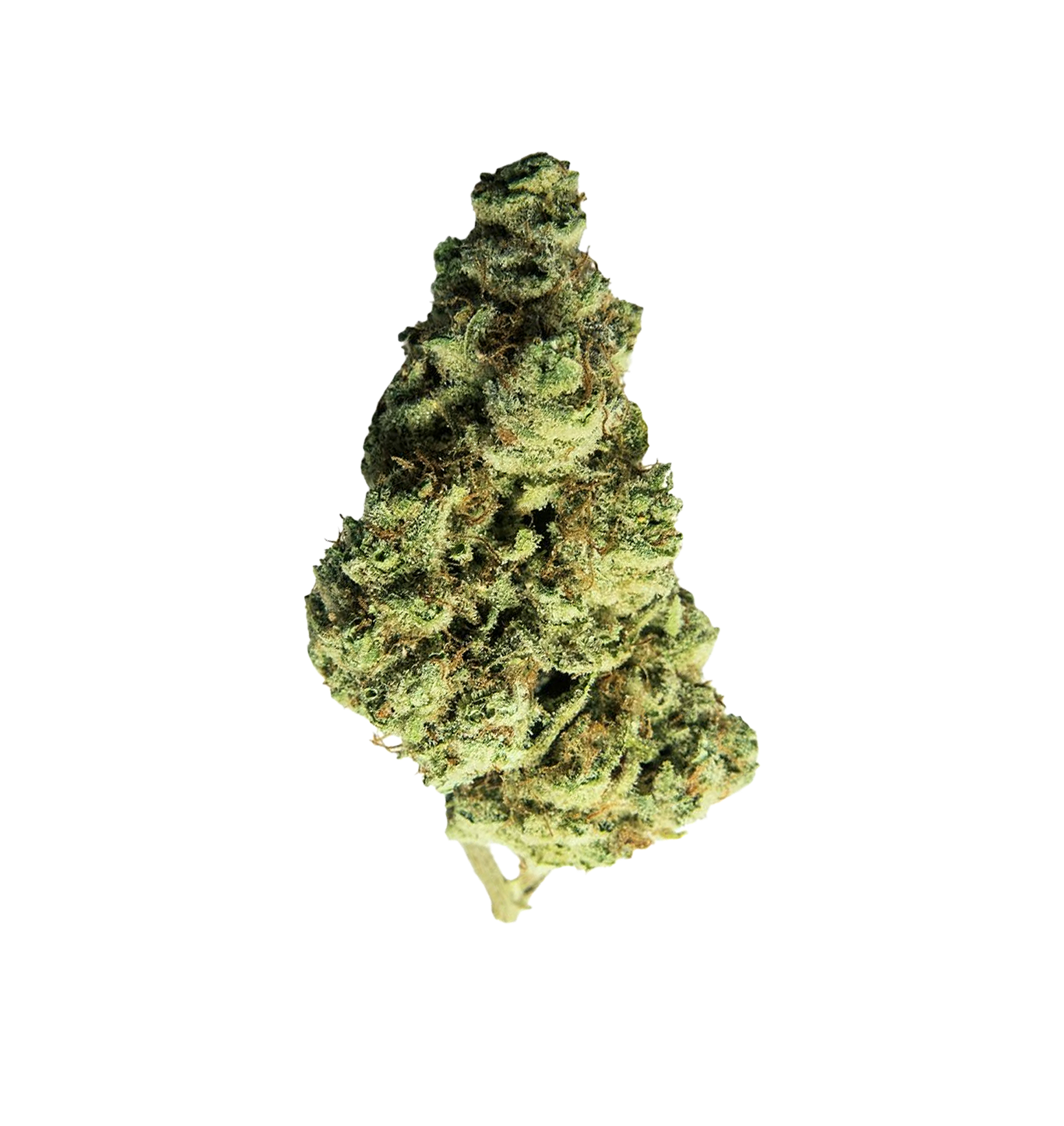 Last of Kush CBD+