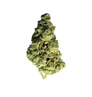 Last of Kush CBD+