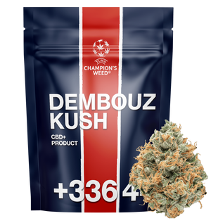 Dembouz Kush CBD+ — vue alternative