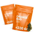 Orange Bud - Fleur CBD