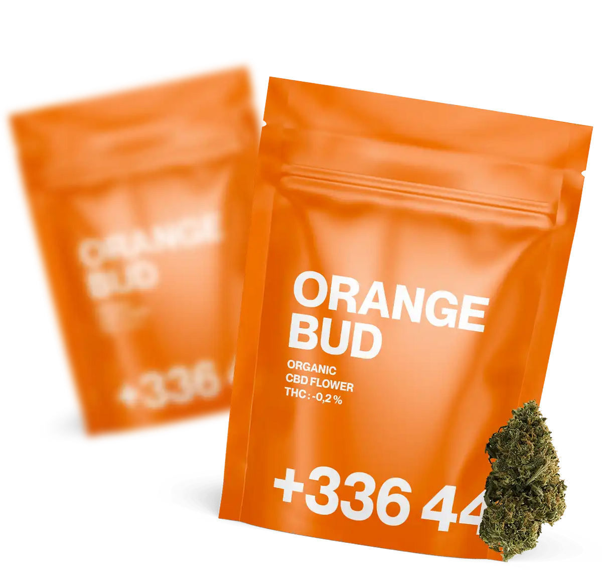 Orange Bud - Fleur CBD