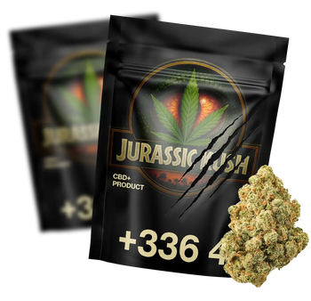 Jurassic Kush CBD+ 🦖