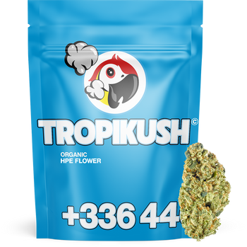 Tropi Kush - Fleur HPE