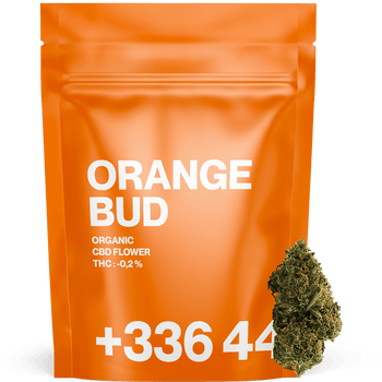 OFFERT - Orange BUD CBD - 20G 🍊