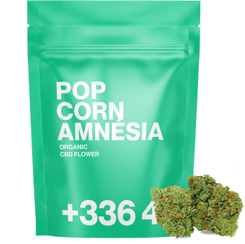 Pop Corn Amnésia - Fleur CBD 🍿