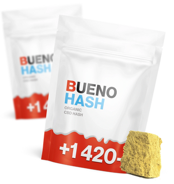 Bueno Hash - Résine CBD 🍫