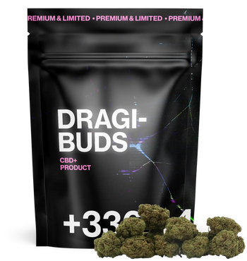 Dragibud Mini Bud Indoor CBD+