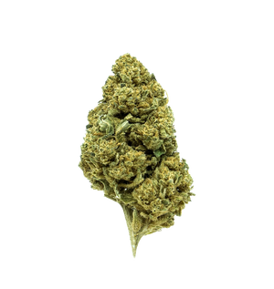 Cookie Kush CBD