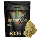 Jurassic Kush CBD+ 🦖