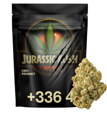 Jurassic Kush CBD+ 🦖