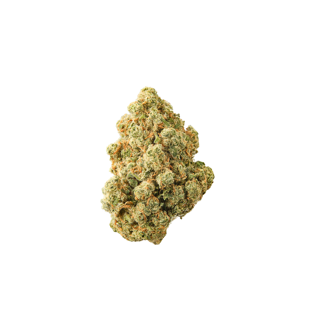 Jurassic Kush CBD+ 🦖