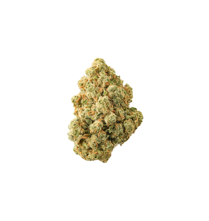Jurassic Kush CBD+ 🦖