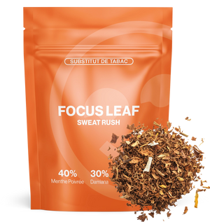 Focus Leaf — vue alternative