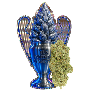 Champion Kush CBD+ 🏆 — vue alternative