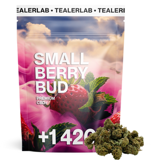 Small Berry Bud CBD+ 🍓 — vue alternative