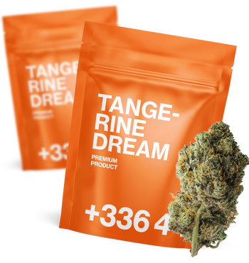 Tangerine Dream 🍊