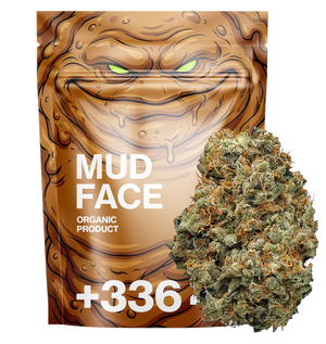 Mud Face 24% CBN — vue alternative