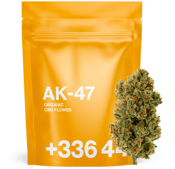 AK-47 - Fleur CBD | Tealerlab