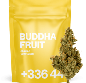 Buddha Fruit - Fleur CBD | Tealerlab — vue alternative