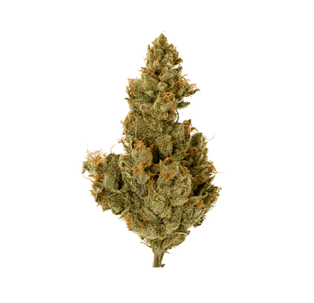 Buddha Fruit - Fleur CBD | Tealerlab