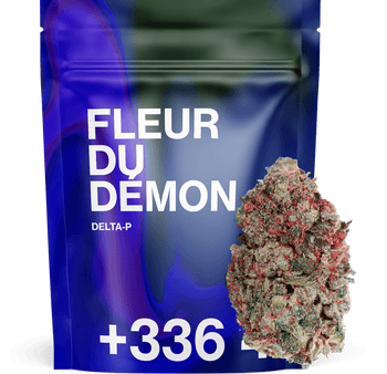 Fleur du Démon Delta-P 🫐 | Tealer420