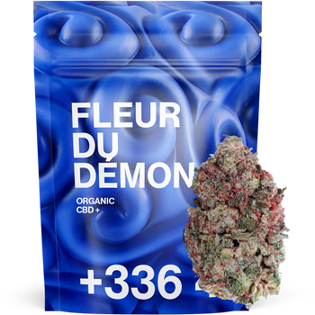 Fleur du Démon - CBD+ 😈