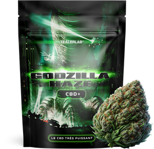 Godzilla Kush - CBD+ 🦖 — vue alternative