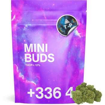 OFFERT - Mini Bud THCP+ 10G