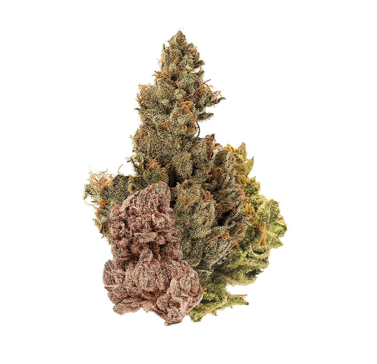 Mix Buds Greenhouse - Fleur CBD | Tealerlab