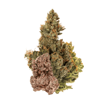 Mix Buds Greenhouse - Fleur CBD | Tealerlab