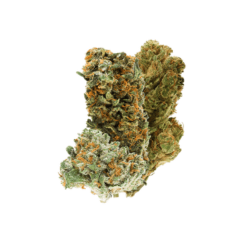 Mix Buds Indoor - Fleur CBD | Tealerlab