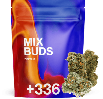 Mix de Bud Delta-P 🌱