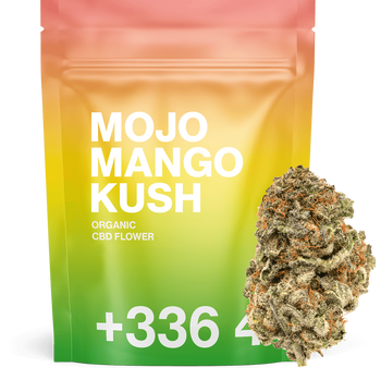 Mojo Mango Kush - Fleur CBD 🥭