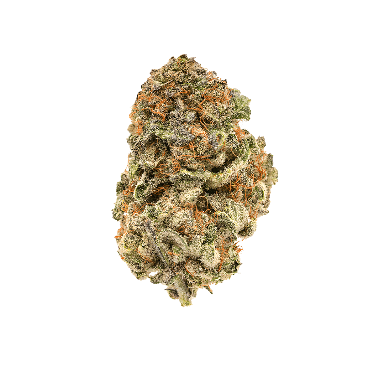 Mojo Mango - Fleur CBD | Tealerlab