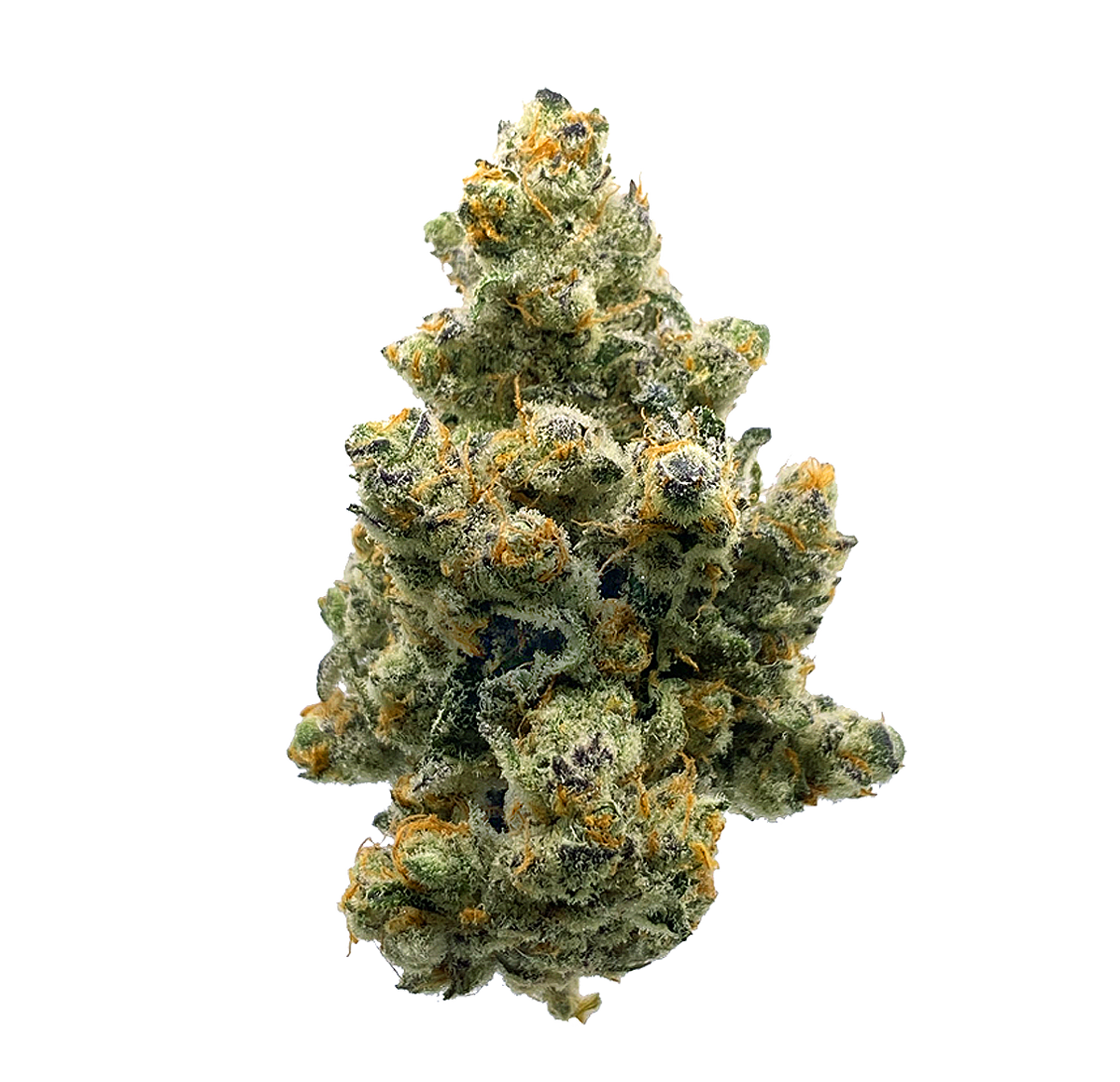 Papaya Nights - Fleur CBD 🍬