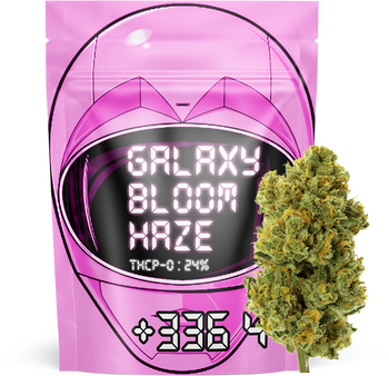 Galaxy Bloom Haze - Fleur THCP-O 🌸