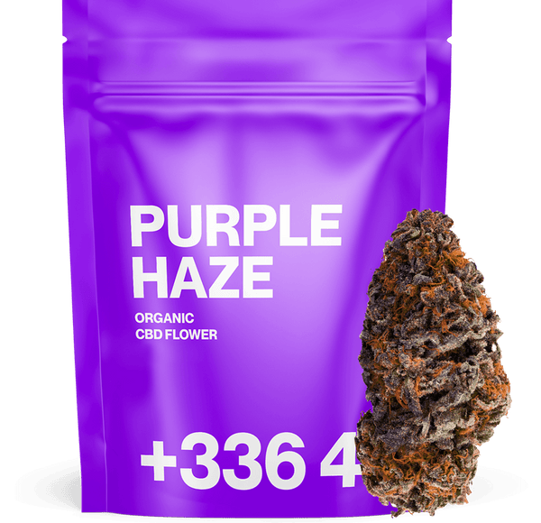 Purple Haze - Fleur CBD 😈