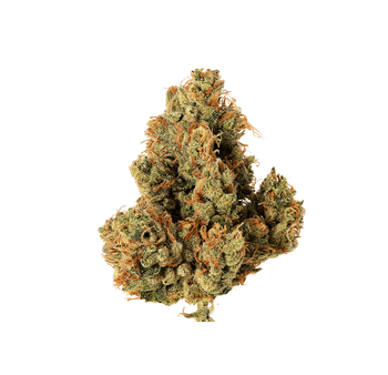 Tealer Kush - Fleur CBD | Tealerlab