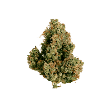 White Widow - Fleur CBD | Tealerlab