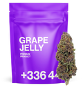 Grape Jelly 🍇