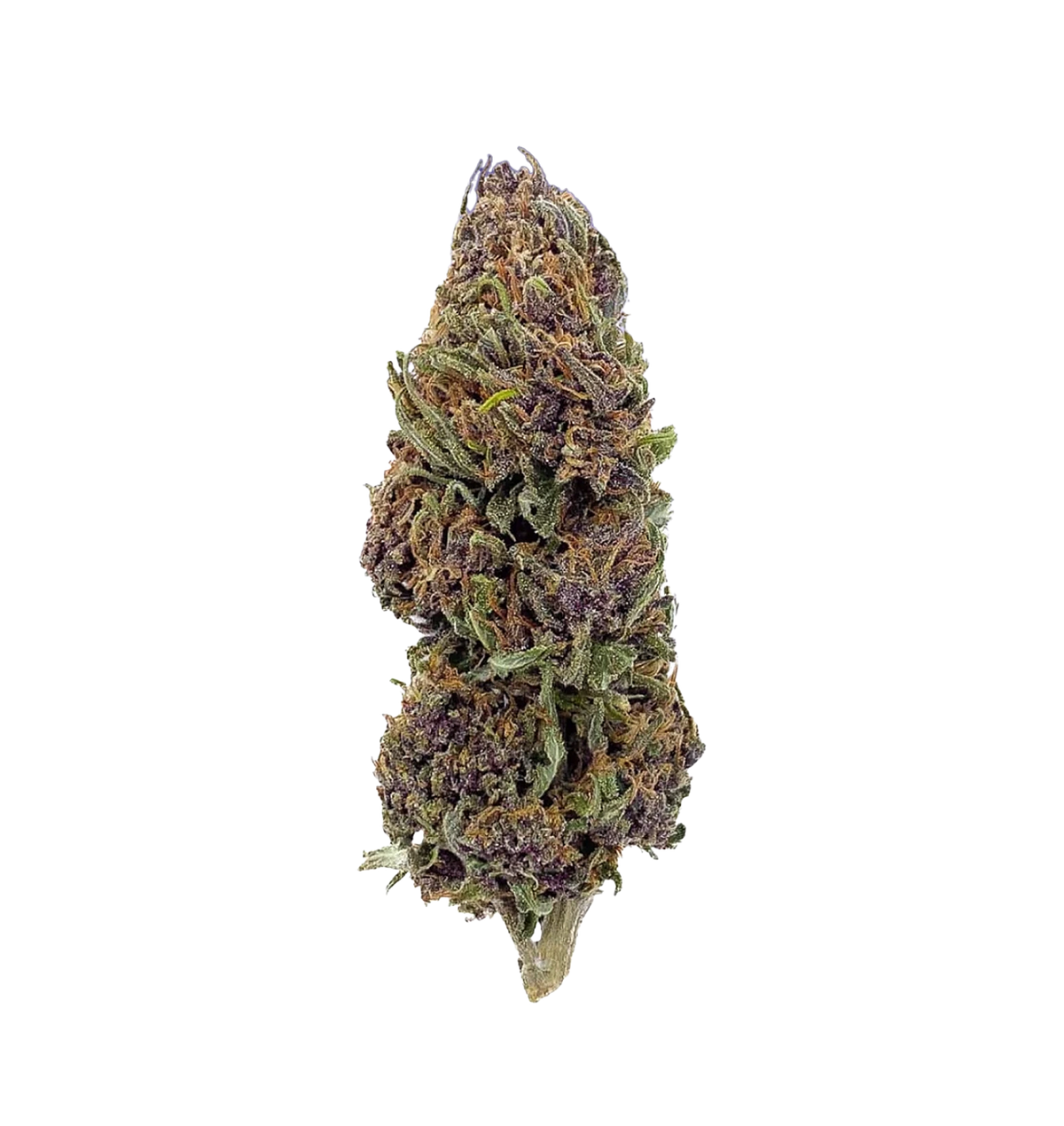 Grape Jelly 🍇